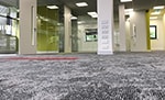 Small Carpet Icon Internet Profits