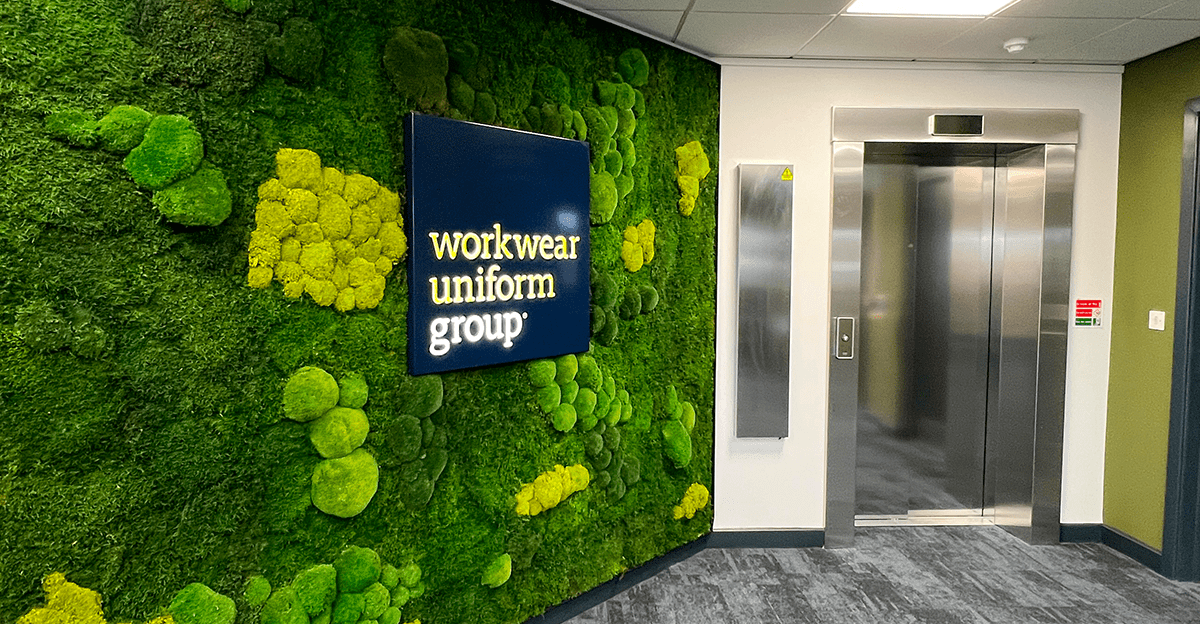 Living moss Feature Wall Commercial Design and Installation