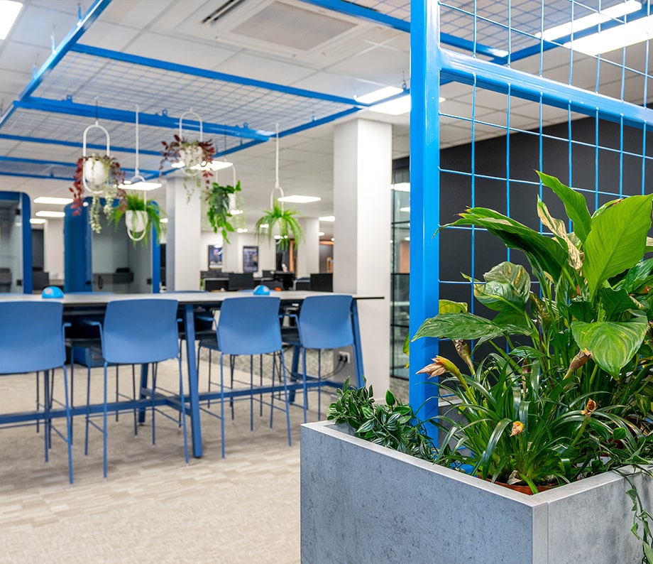 Open Plan Biophilic Office Space